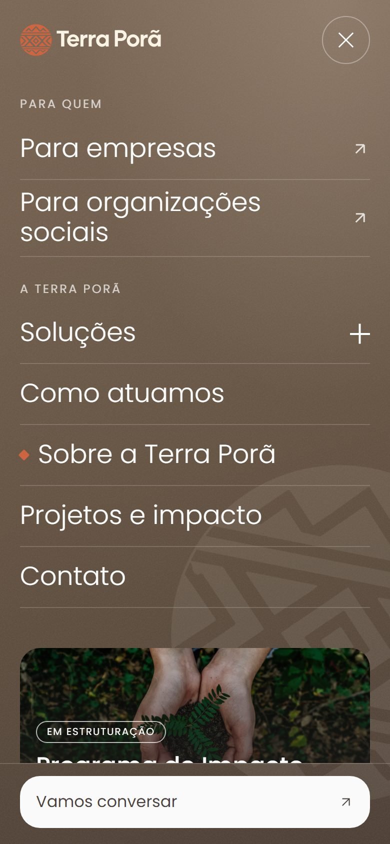 Menu do site no celular, em tela cheia marrom